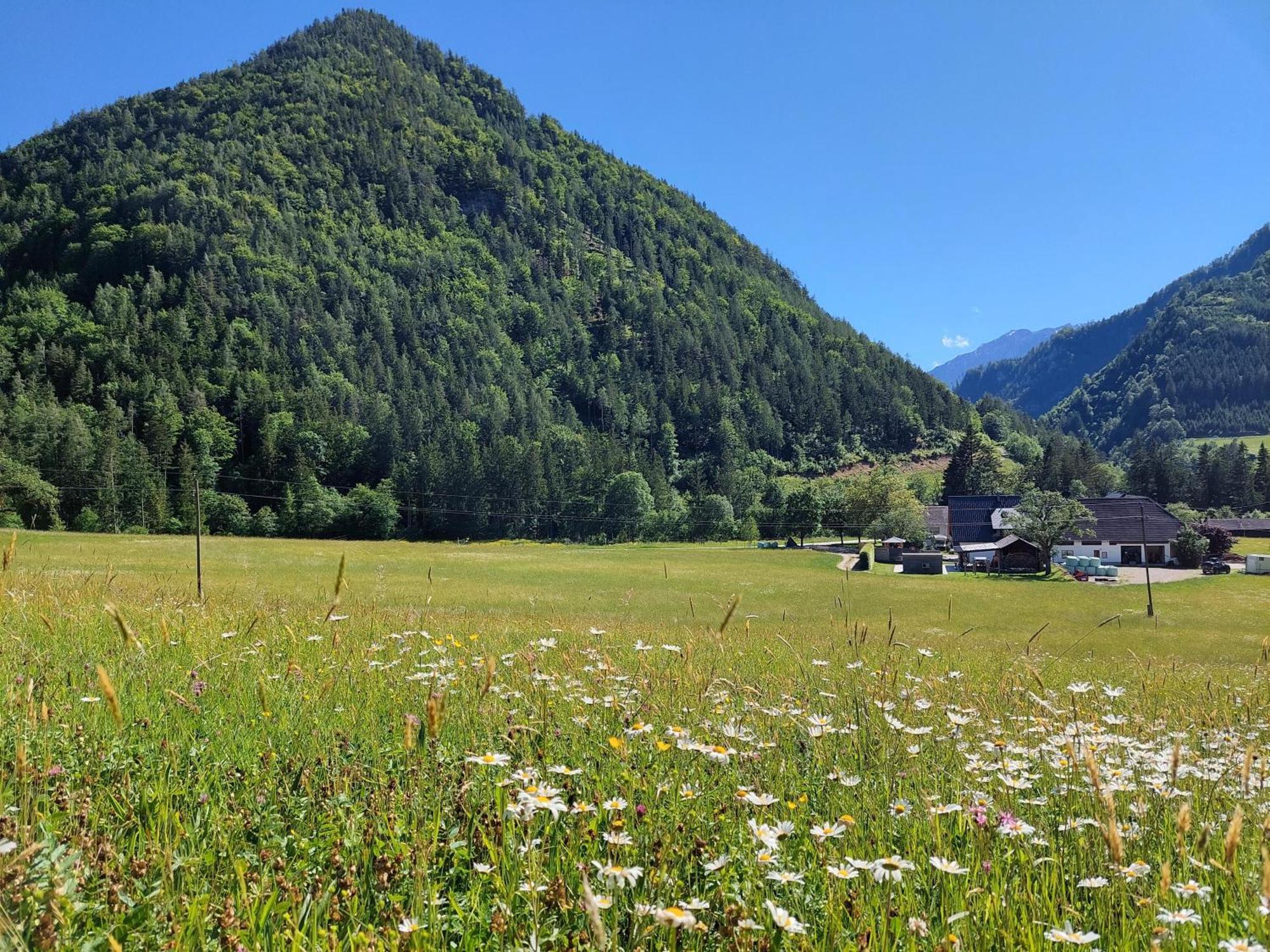 Hofpower'S Mountain Feeling Hinterstoder Exterior foto