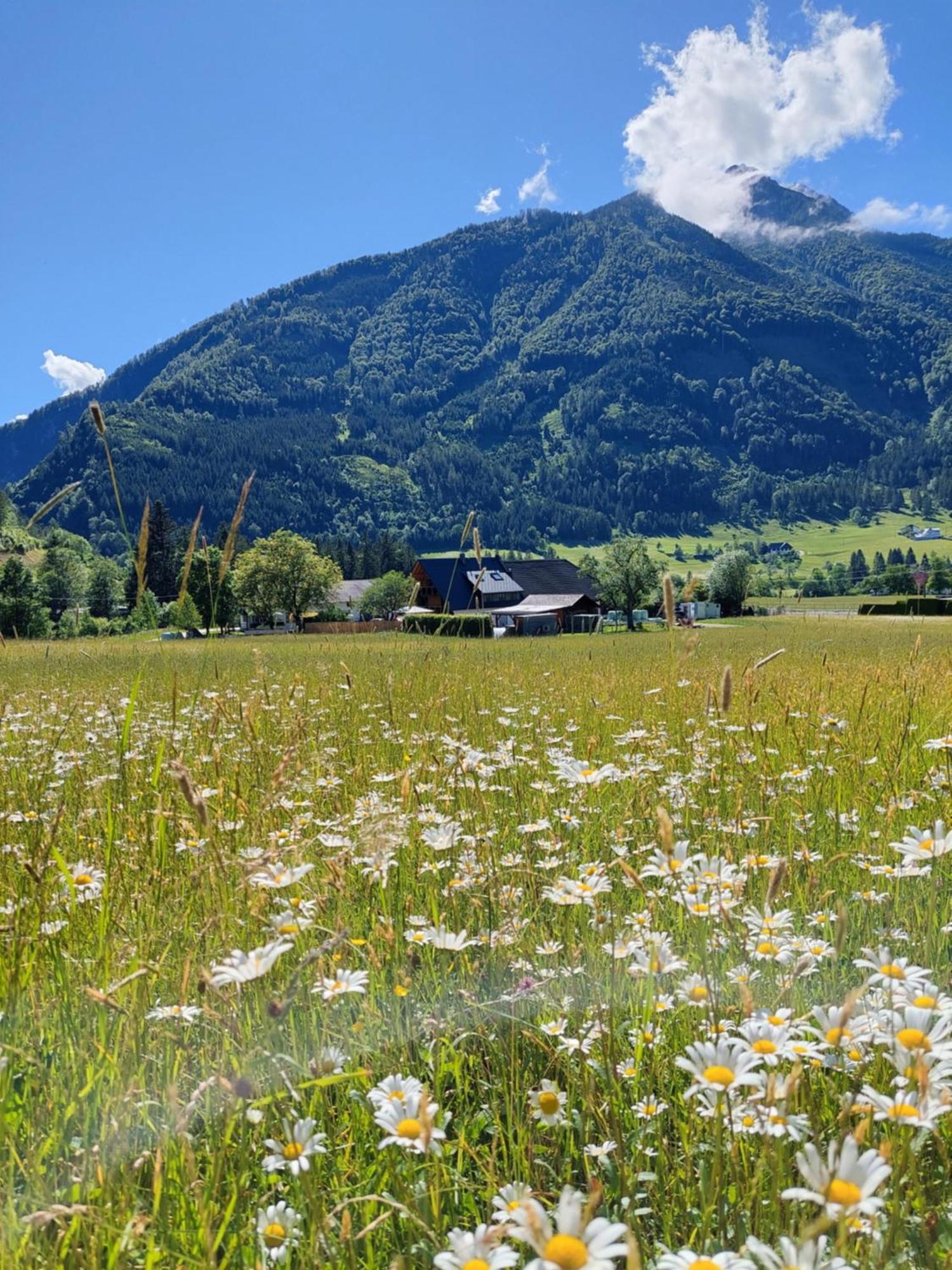 Hofpower'S Mountain Feeling Hinterstoder Exterior foto