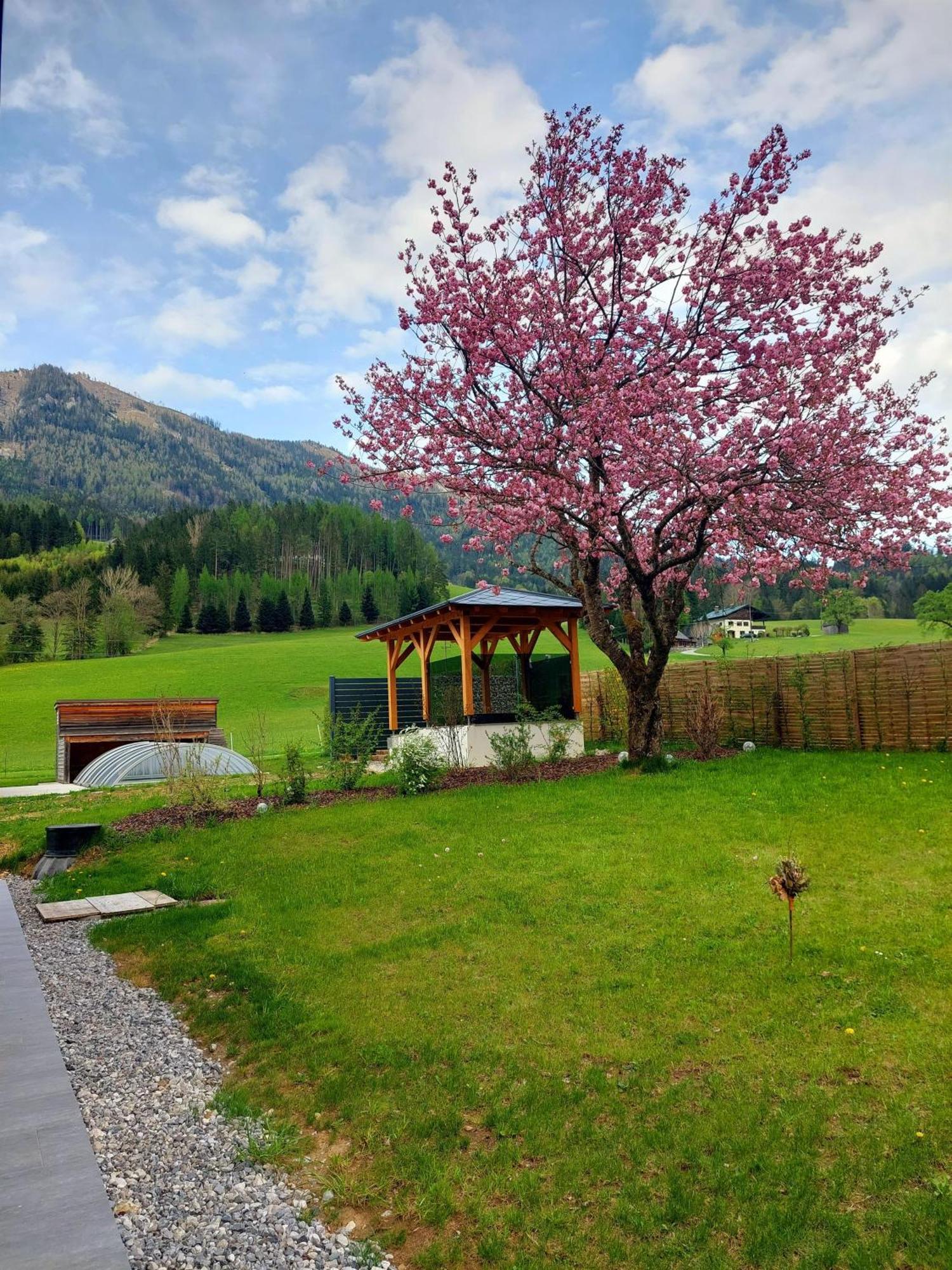 Hofpower'S Mountain Feeling Hinterstoder Exterior foto